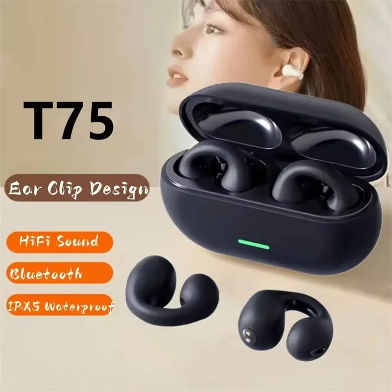 T75 Aura Pods image 2