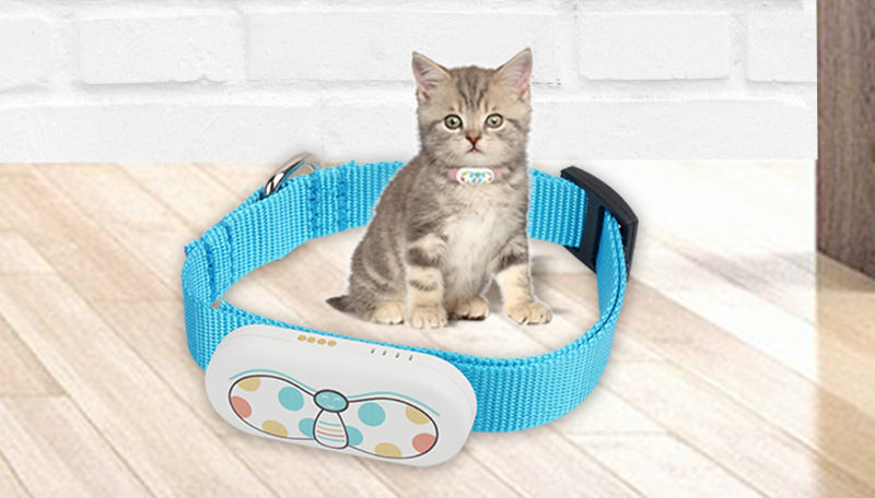 GPS Beidou Pet Locator Baokangyuan Smart GPS Cat And Dog Collar Anti-lost Anti-lost Tracker
